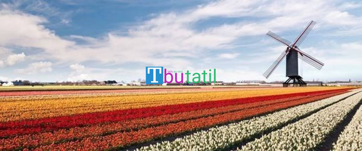 Amsterdam Turu - Pegasus Havayolları ile - Resim #3