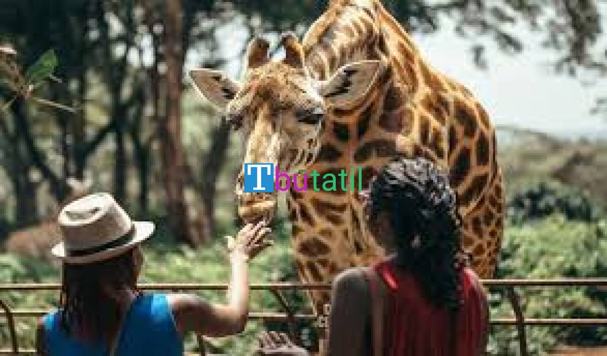 Elegant Kenya & Tanzanya Büyük Göç Turu - Türk Havayolları ile - Resim #4