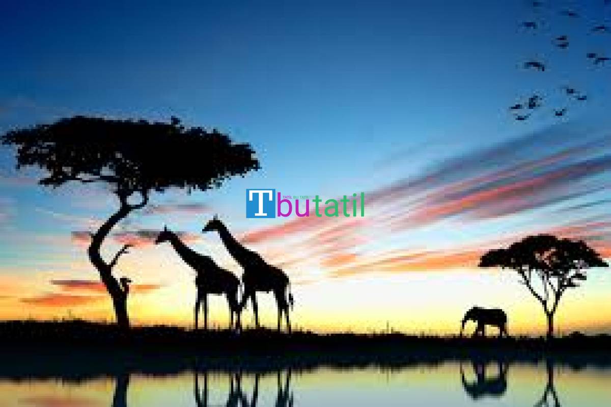Elegant Kenya & Tanzanya Büyük Göç Turu - Türk Havayolları ile - Resim #8