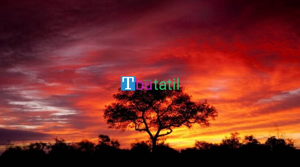 Görkemli Güney Afrika ve Safari Turu - THY ile (Ara Tatil Dönemi) - Resim #3