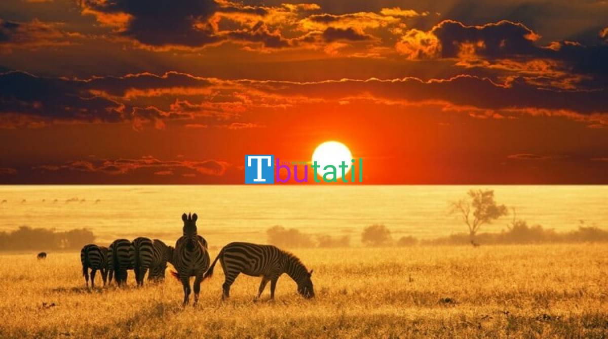 Görkemli Güney Afrika ve Safari Turu - THY ile (Ara Tatil Dönemi) - Resim #2