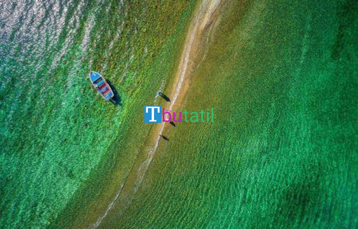 Halkidiki Yüzme Turu 3 Gece 5 Gün - Resim #8