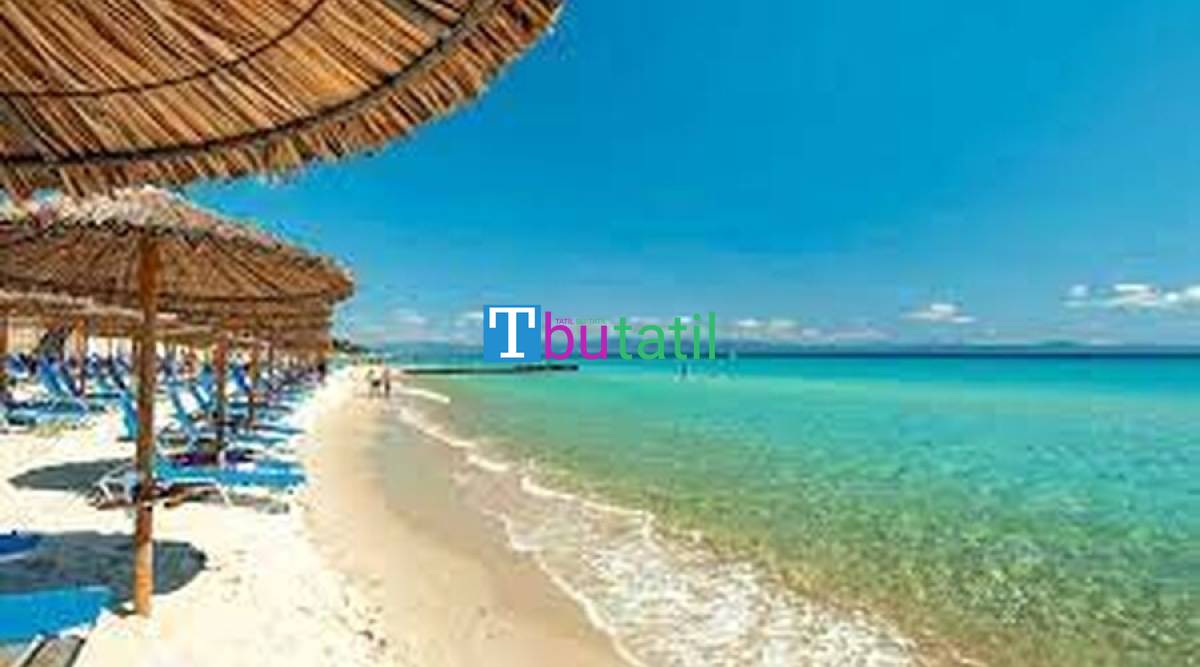 Halkidiki Yüzme Turu 3 Gece 5 Gün - Resim #4