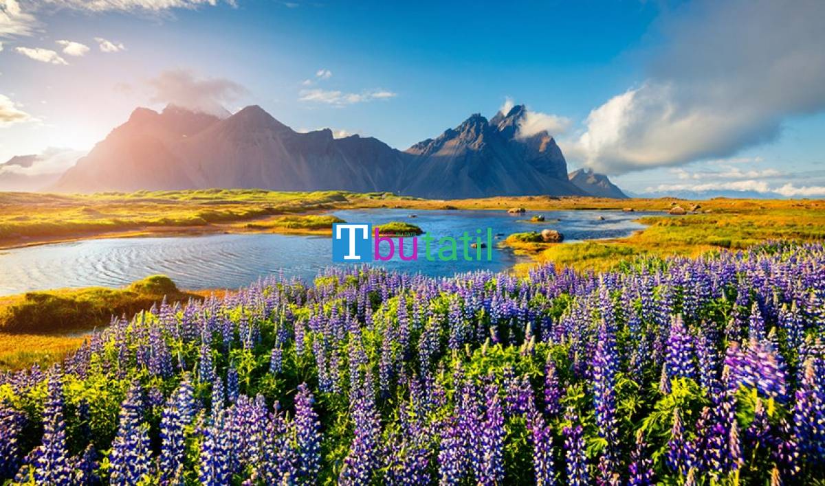 İZLANDA & KUZEY IŞIKLARI TURU “REYKAVIK PANORAMİK ŞEHİR TURU DAHİL” - Resim #1