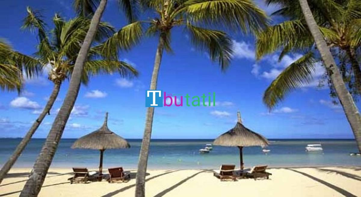 Madagaskar Mauritius Turu - Türk Hava Yolları ile - Tüm Geziler Dahil - Resim #5
