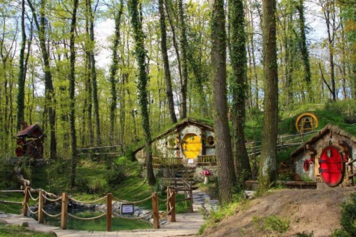 ORMANYA, TERS EV, CAM TERAS SAPANCA GÖLÜ ve MAŞUKİYE TURU - Resim #5