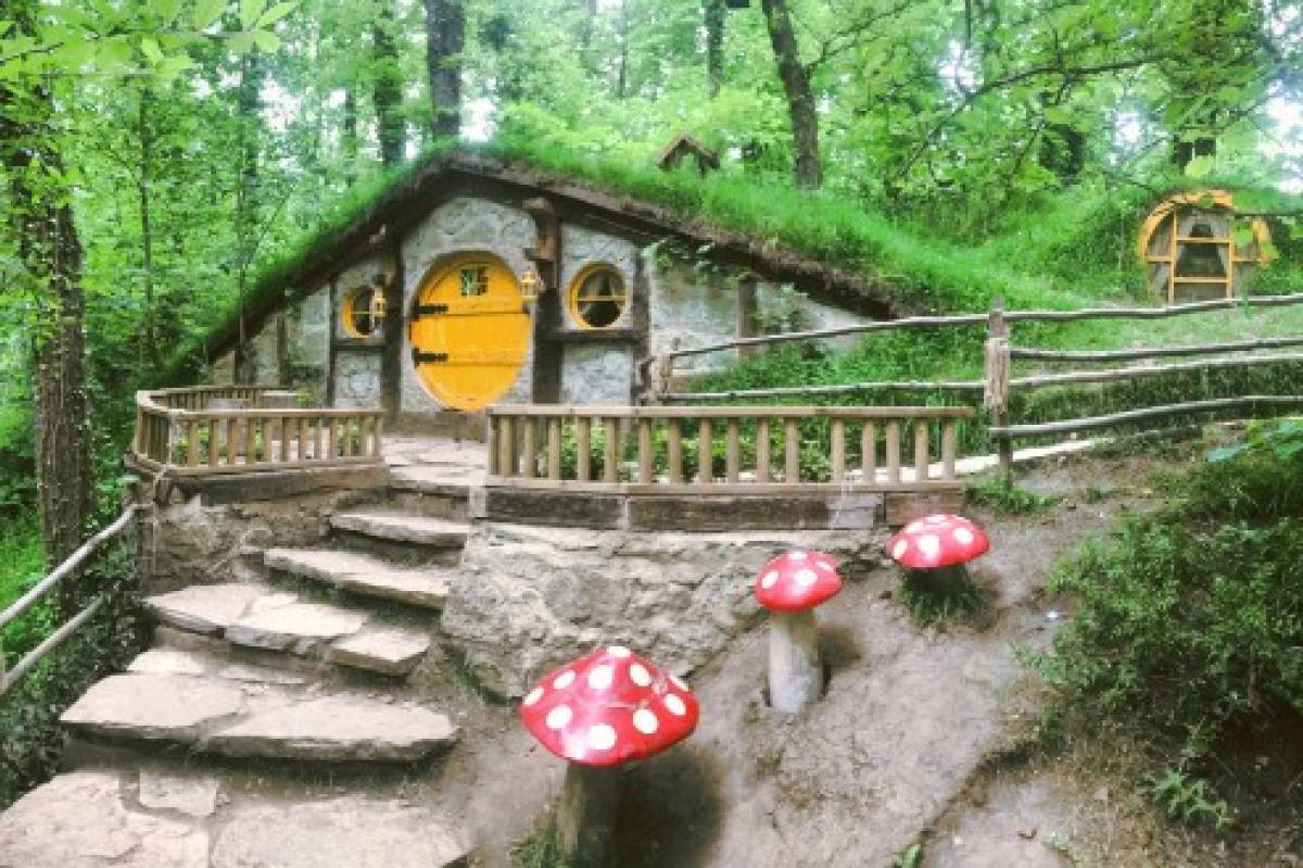 ORMANYA, TERS EV, CAM TERAS SAPANCA GÖLÜ ve MAŞUKİYE TURU - Resim #3