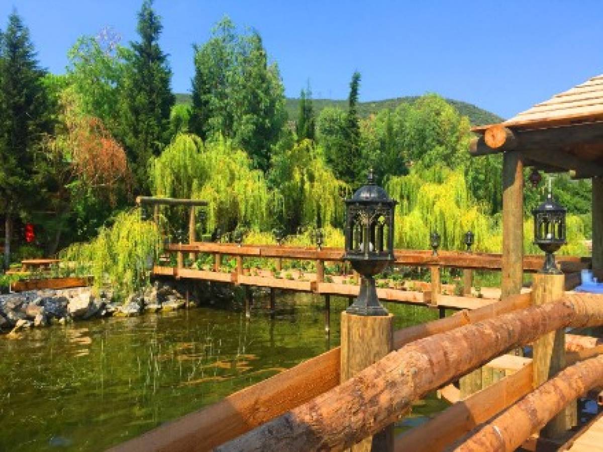 ORMANYA, TERS EV, CAM TERAS SAPANCA GÖLÜ ve MAŞUKİYE TURU - Resim #7