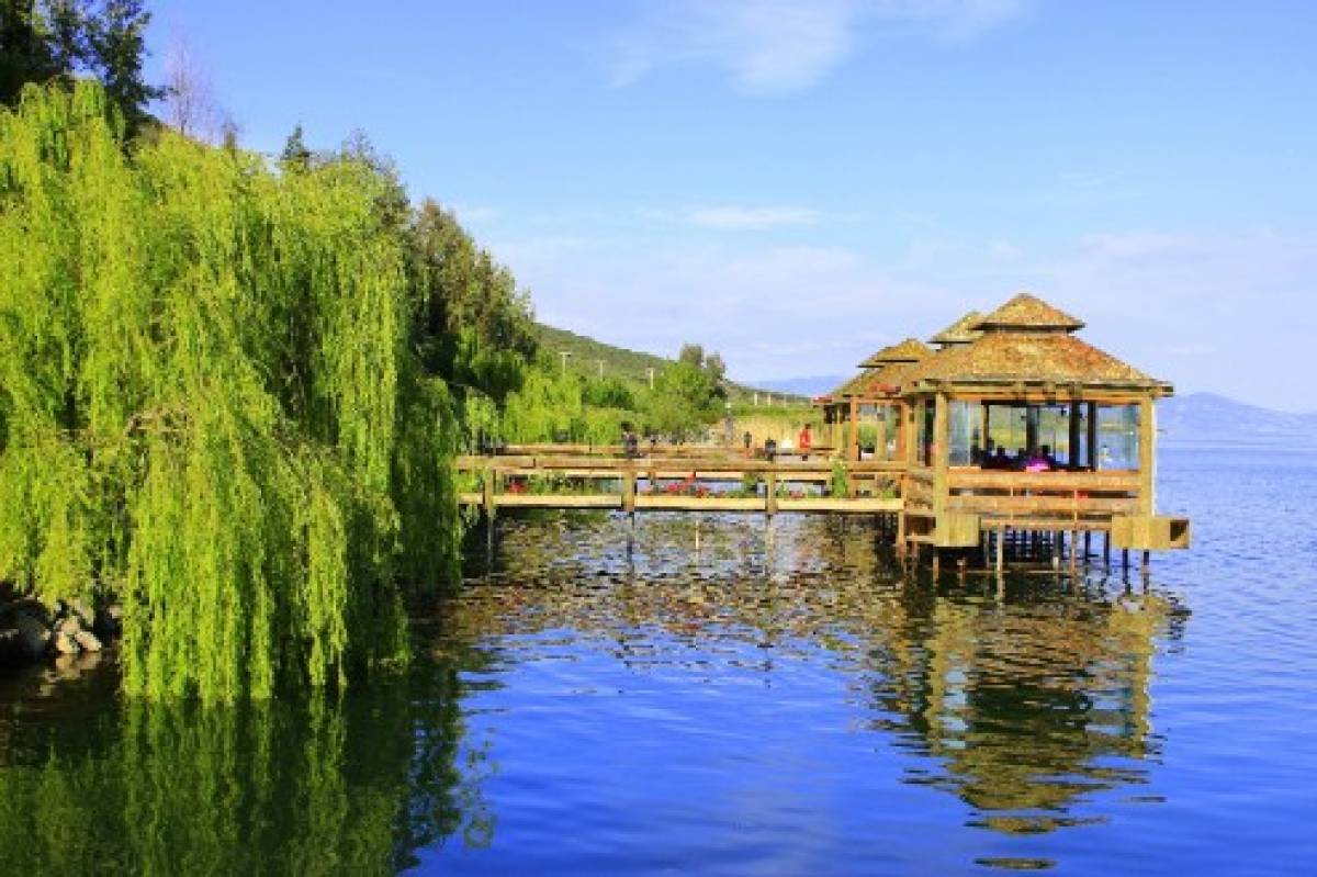 ORMANYA, TERS EV, CAM TERAS SAPANCA GÖLÜ ve MAŞUKİYE TURU - Resim #2