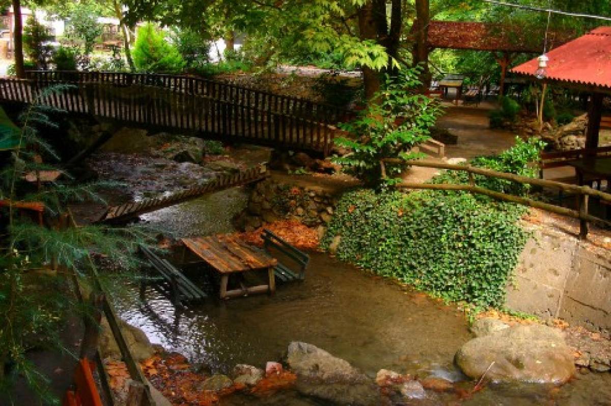 ORMANYA, TERS EV, CAM TERAS SAPANCA GÖLÜ ve MAŞUKİYE TURU - Resim #6