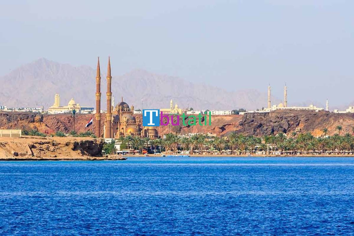 Thy İle Sharm El Sheıkh Turu 6 Gece - Resim #7