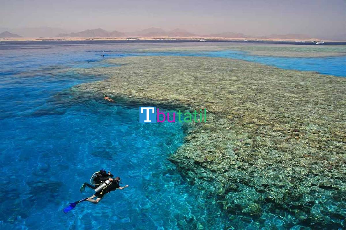 Thy İle Sharm El Sheıkh Turu 6 Gece - Resim #4
