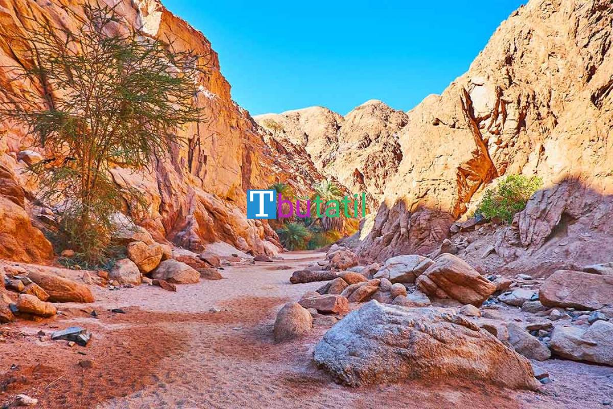 Thy İle Sharm El Sheıkh Turu 6 Gece - Resim #6