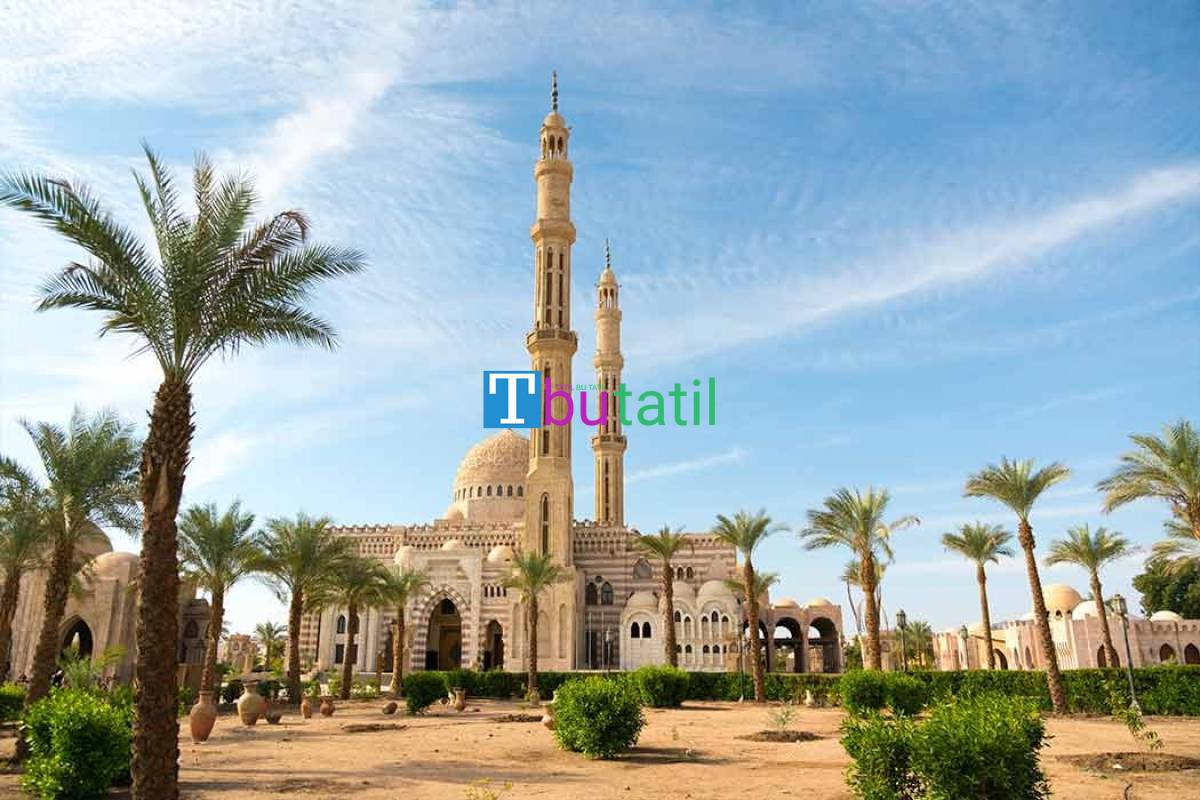 Thy İle Sharm El Sheıkh Turu 6 Gece - Resim #5