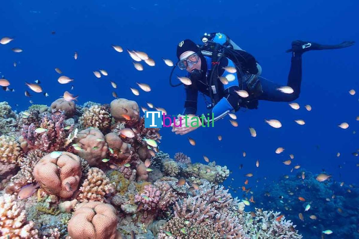 Thy İle Sharm El Sheıkh Turu 6 Gece - Resim #2